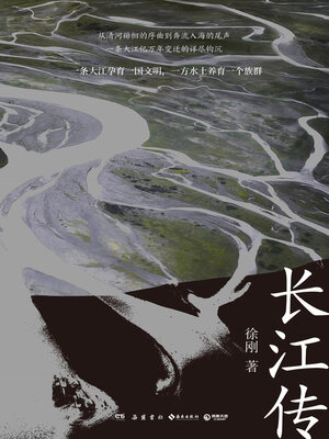 cover image of 长江传